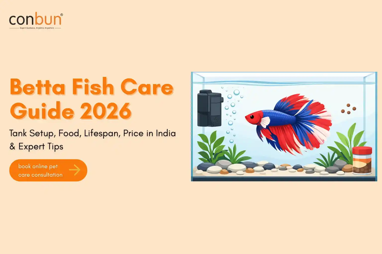 Betta Fish Care Guide 2026: Tank Setup, Food, Lifespan, Price in India & Expert Tips